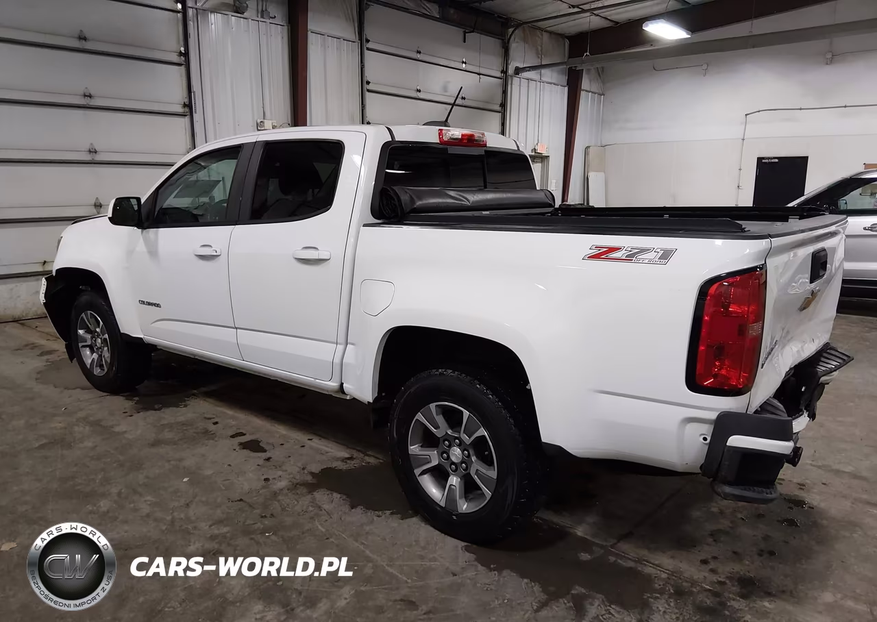 2019 Chevrolet Colorado Z71 VIN:1GCGTDEN2K1135608 - 3