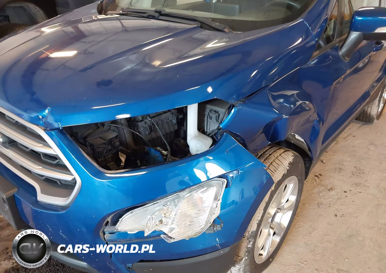 2019 Ford Ecosport Se VIN:MAJ3S2GE3KC253888 - 6
