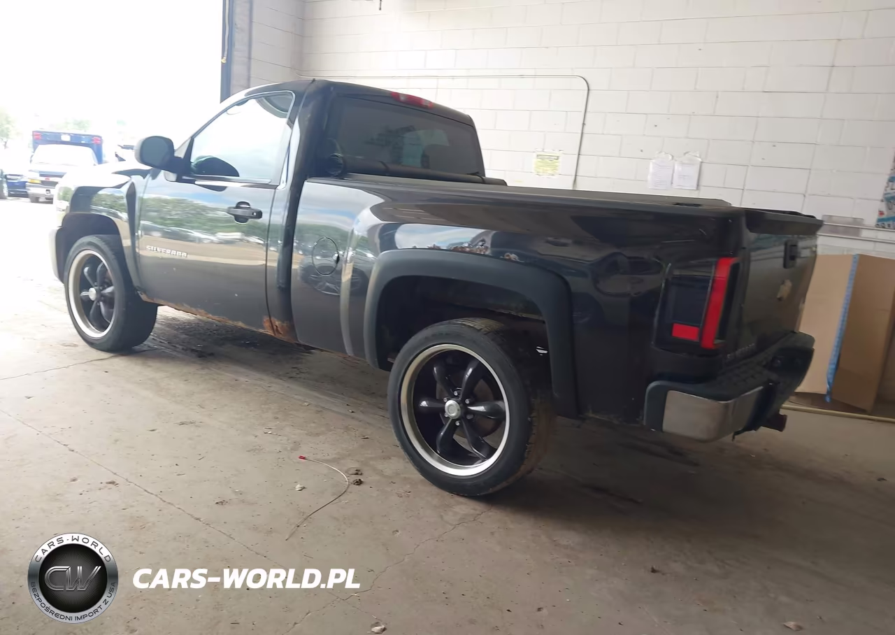 2010 Chevrolet Silverado 1500 Work Truck VIN:1GCPCPEX0AZ192716 - 3