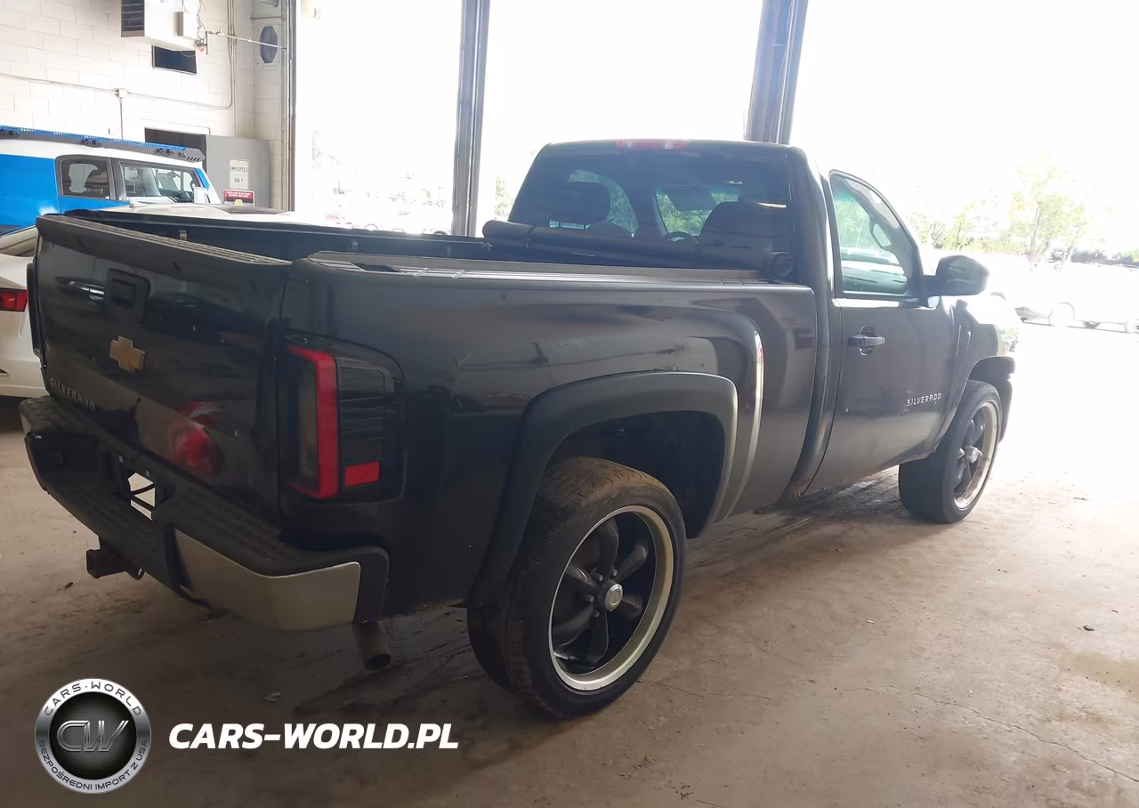 2010 Chevrolet Silverado 1500 Work Truck VIN:1GCPCPEX0AZ192716 - 4