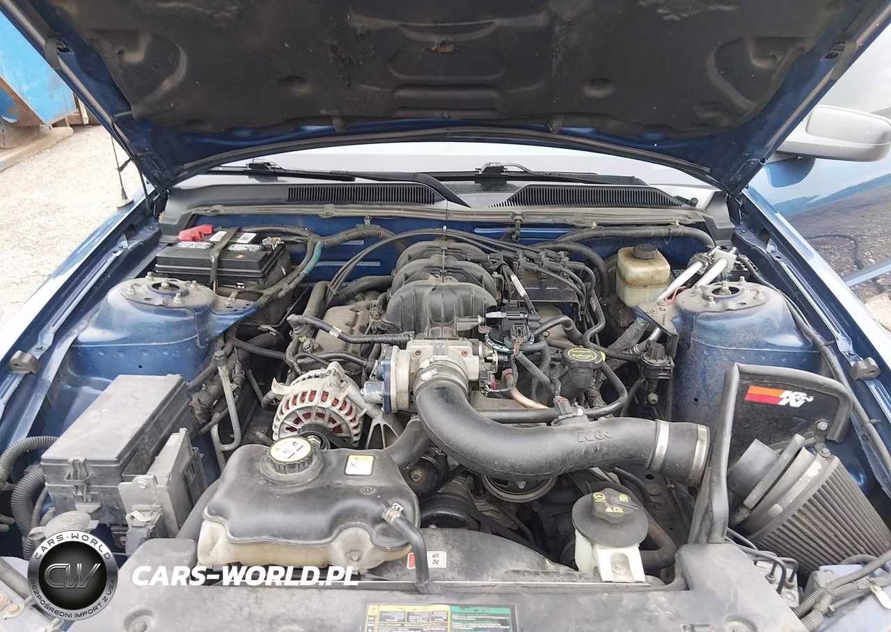 2006 Ford Mustang V6 VIN:1ZVFT80N765192053 - 10