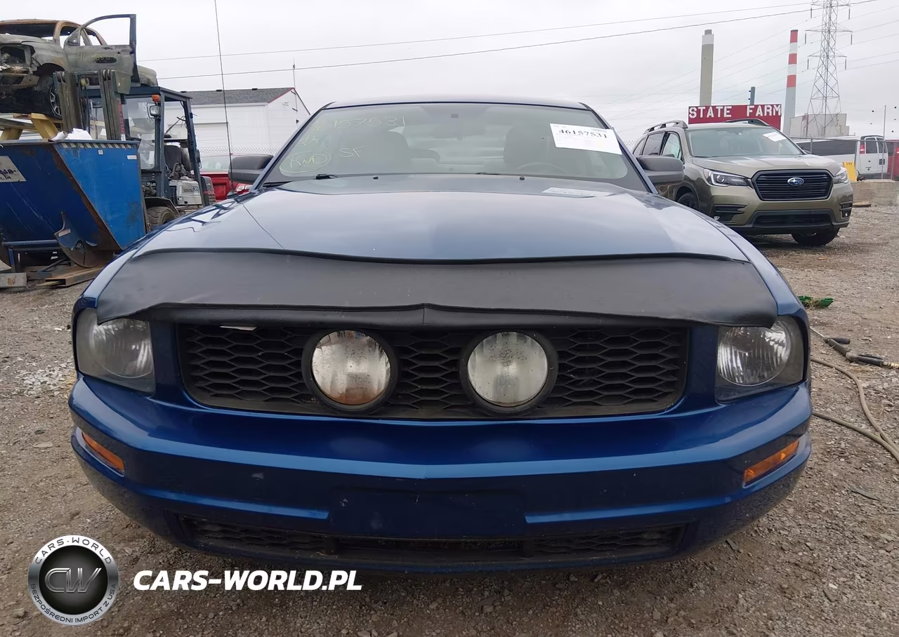 2006 Ford Mustang V6 VIN:1ZVFT80N765192053 - 12