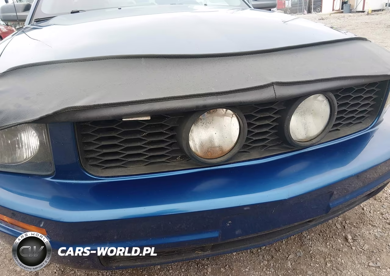 2006 Ford Mustang V6 VIN:1ZVFT80N765192053 - 6