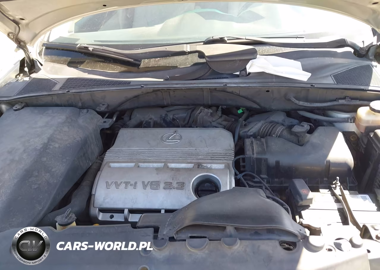 2004 Lexus Rx 330 VIN:JTJHA31U640062993 - 10