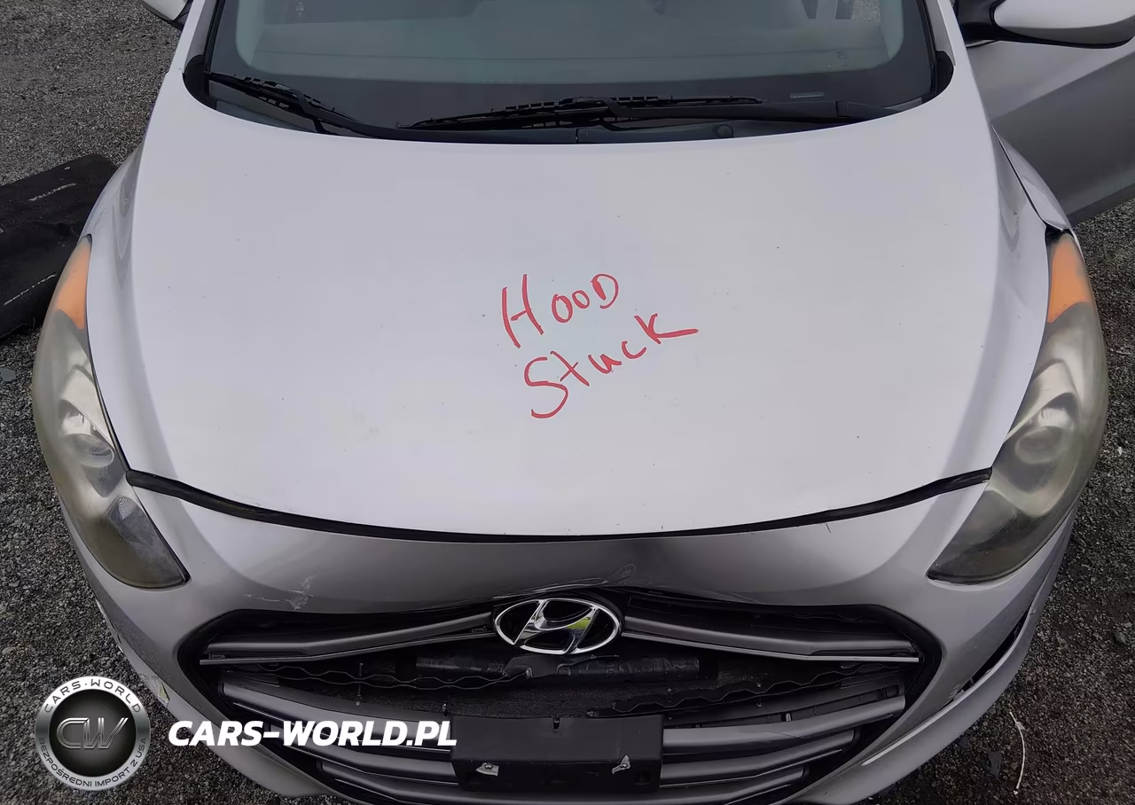 2017 Hyundai Elantra Gt VIN:KMHD35LH3HU376814 - 10