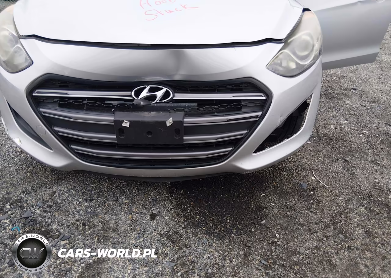 2017 Hyundai Elantra Gt VIN:KMHD35LH3HU376814 - 13