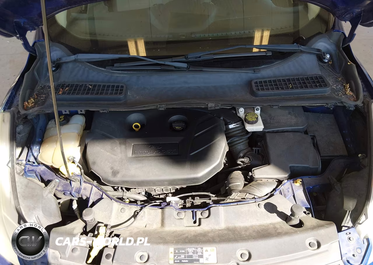 2014 Ford Escape Se VIN:1FMCU9G95EUC46208 - 10