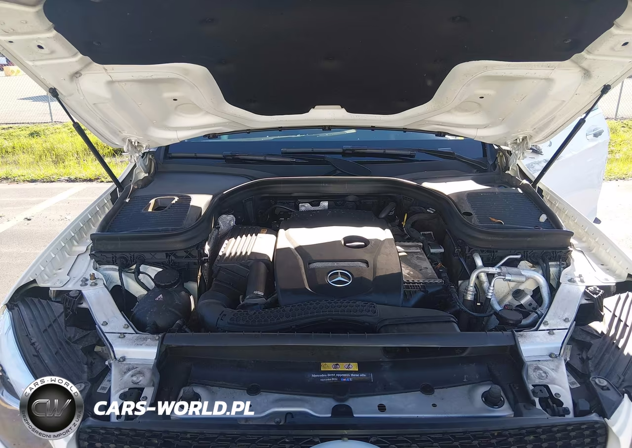 2019 Mercedes-Benz Glc 300 Coupe 4Matic VIN:WDC0J4KB4KF578597 - 10