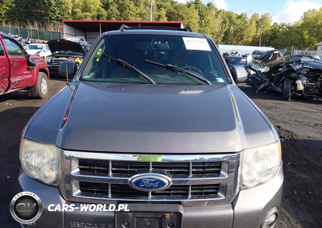 2011 Ford Escape Xlt VIN:1FMCU9D76BKB69679 - 12