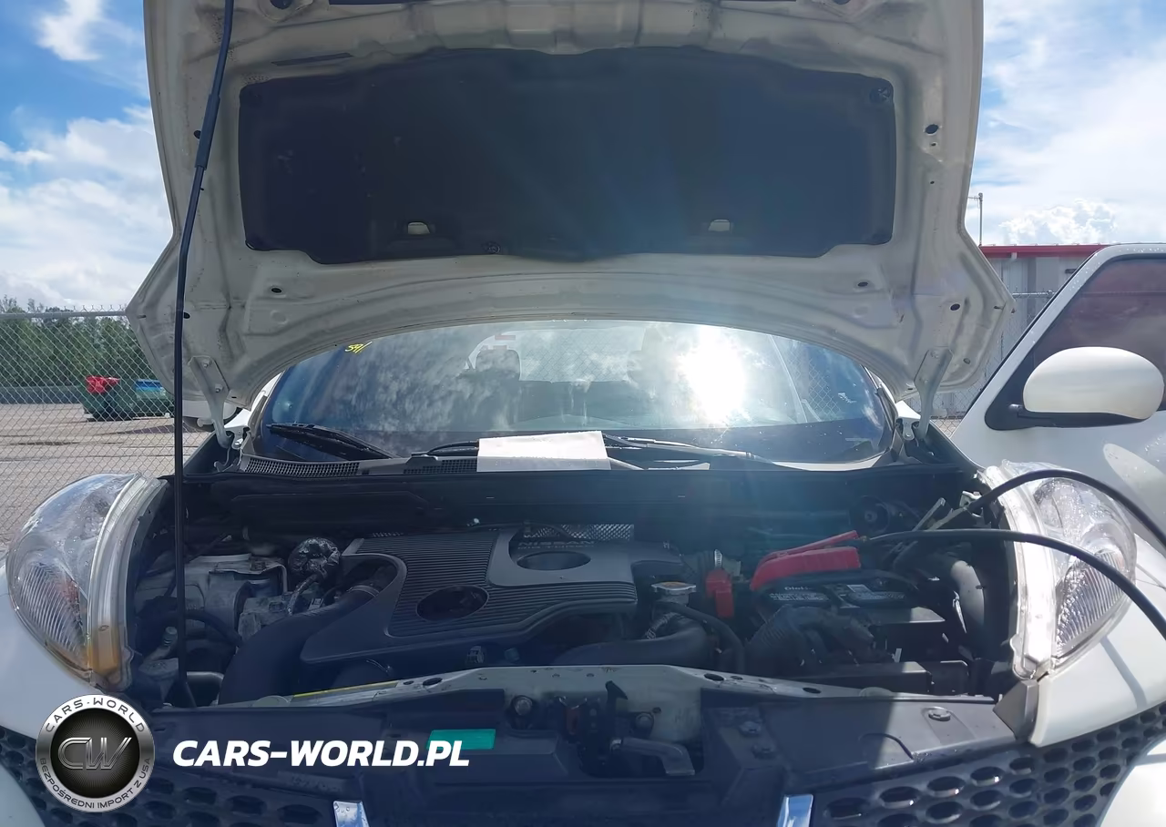 2013 Nissan Juke S VIN:JN8AF5MR0DT202743 - 10