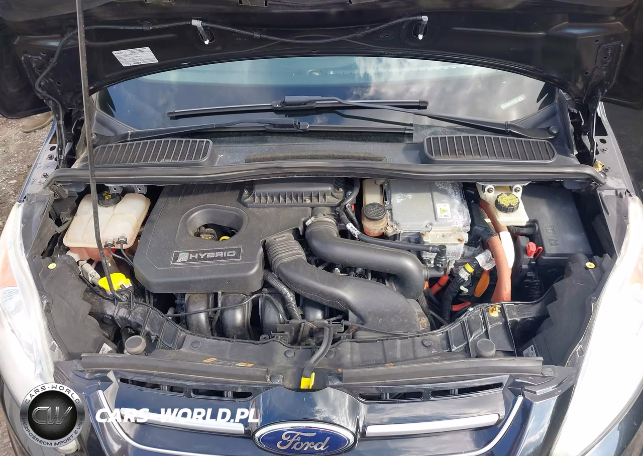 2014 Ford C-Max Hybrid Se VIN:1FADP5AU0EL505494 - 10