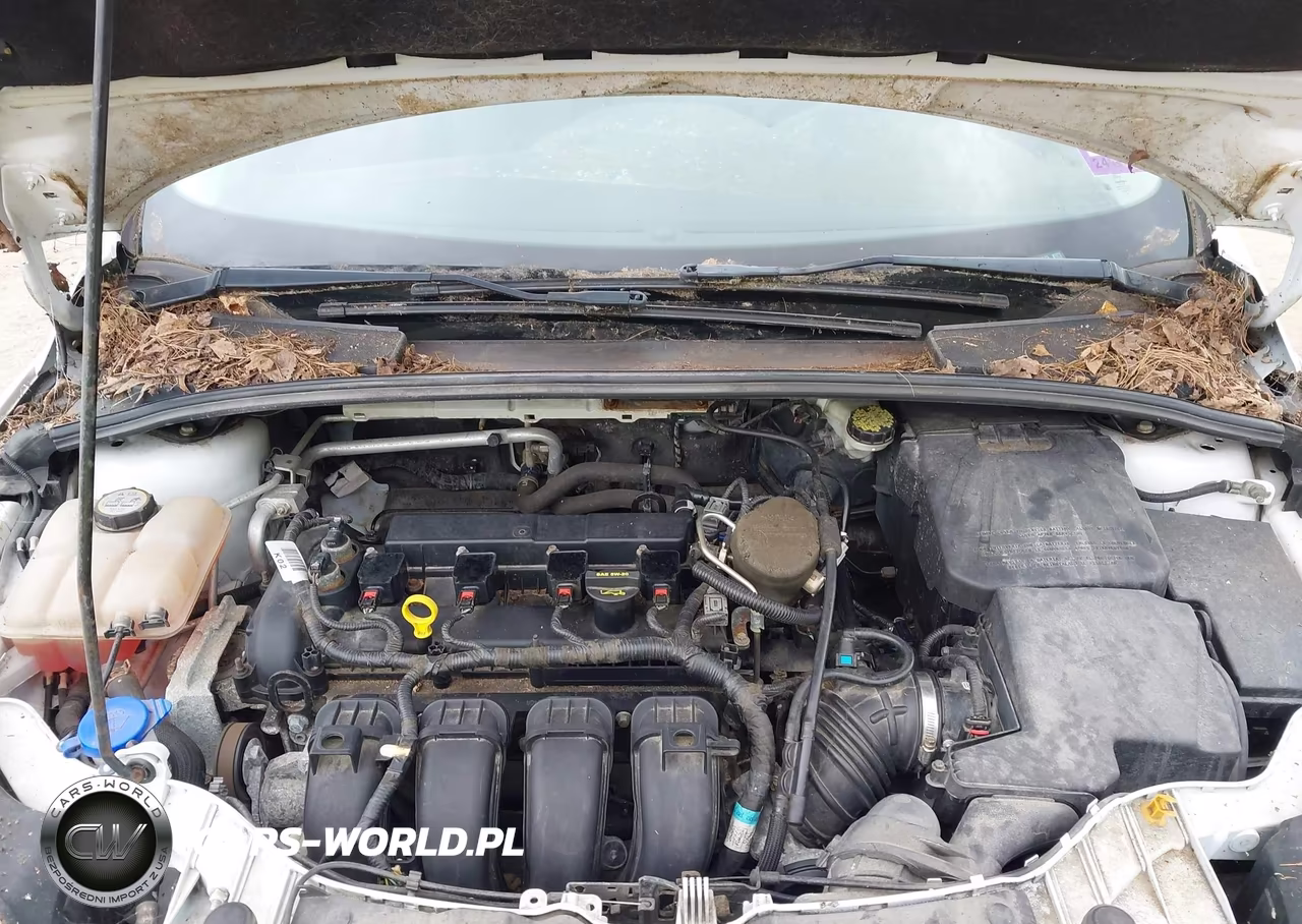 2013 Ford Focus Se VIN:1FADP3K29DL224343 - 10