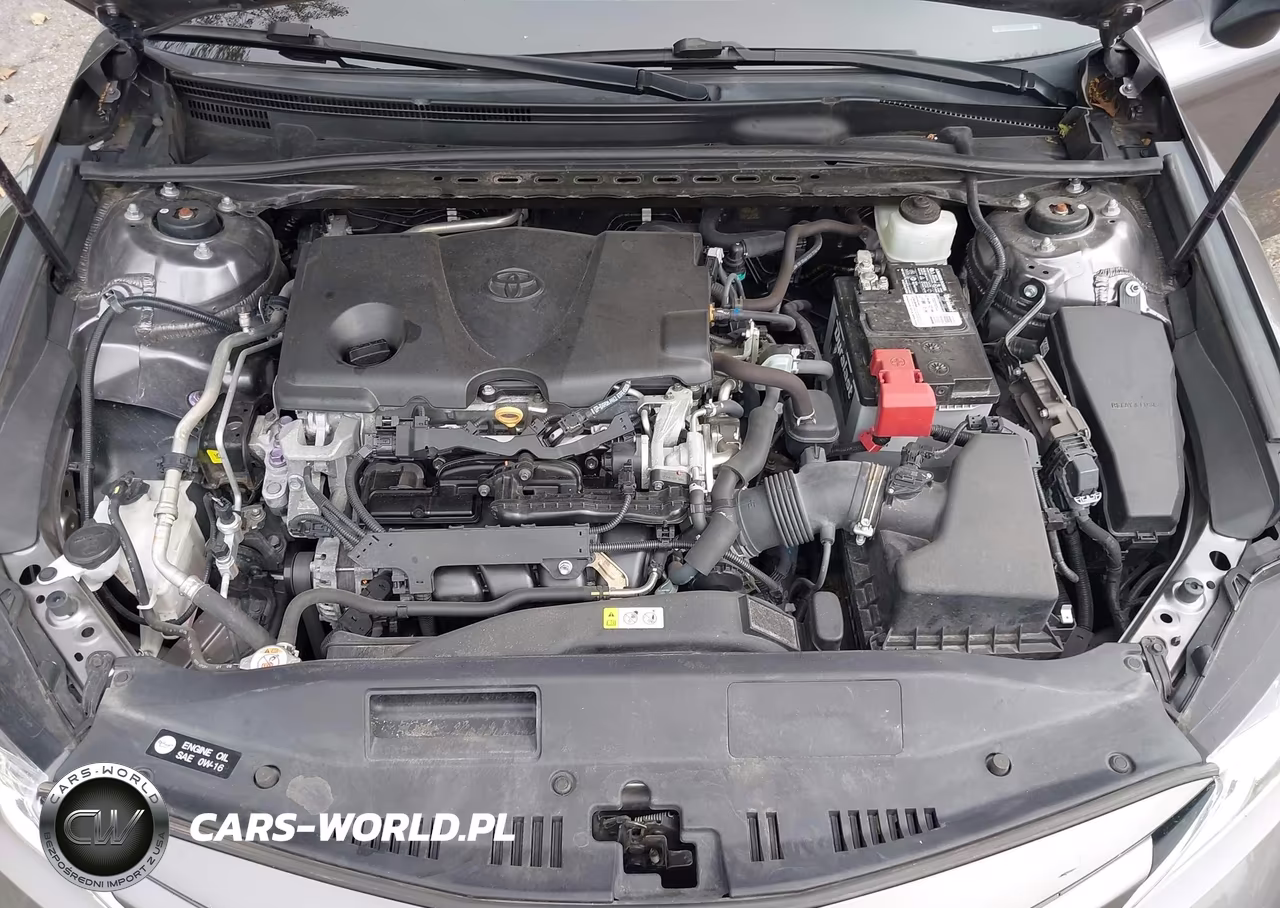 2020 Toyota Camry Le VIN:4T1C11AK8LU336620 - 10