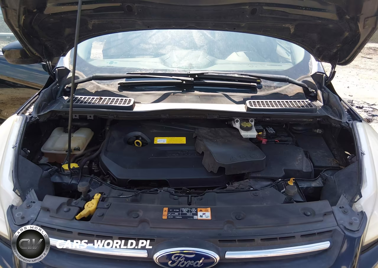 2016 Ford Escape Se VIN:1FMCU0GX4GUB34853 - 10