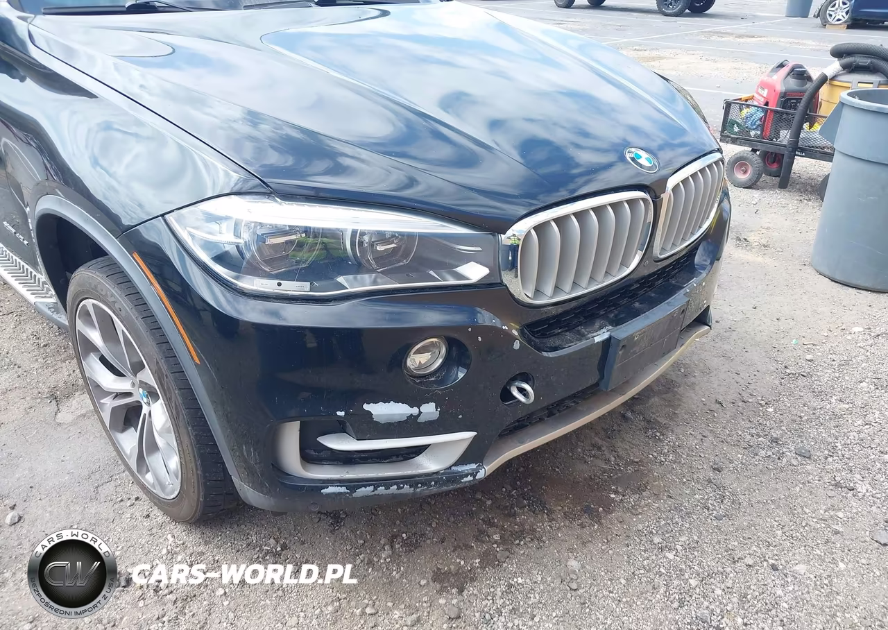 2017 BMW X5 Edrive xDrive40E Iperformance VIN:5UXKT0C56H0S80198 - 17
