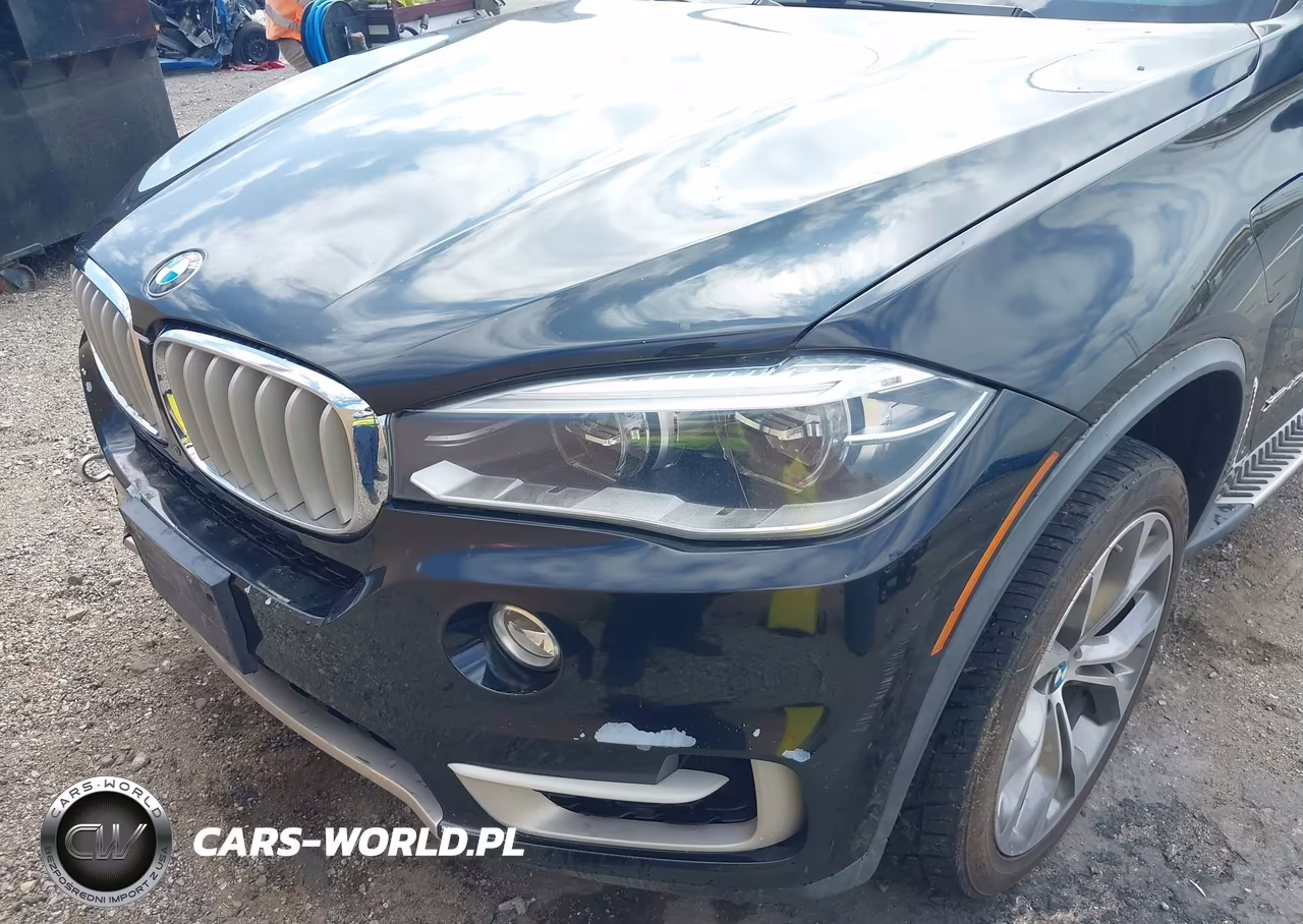 2017 BMW X5 Edrive xDrive40E Iperformance VIN:5UXKT0C56H0S80198 - 18