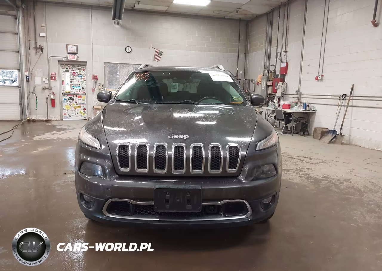 2014 Jeep Cherokee Limited VIN:1C4PJMDS0EW302312 - 12