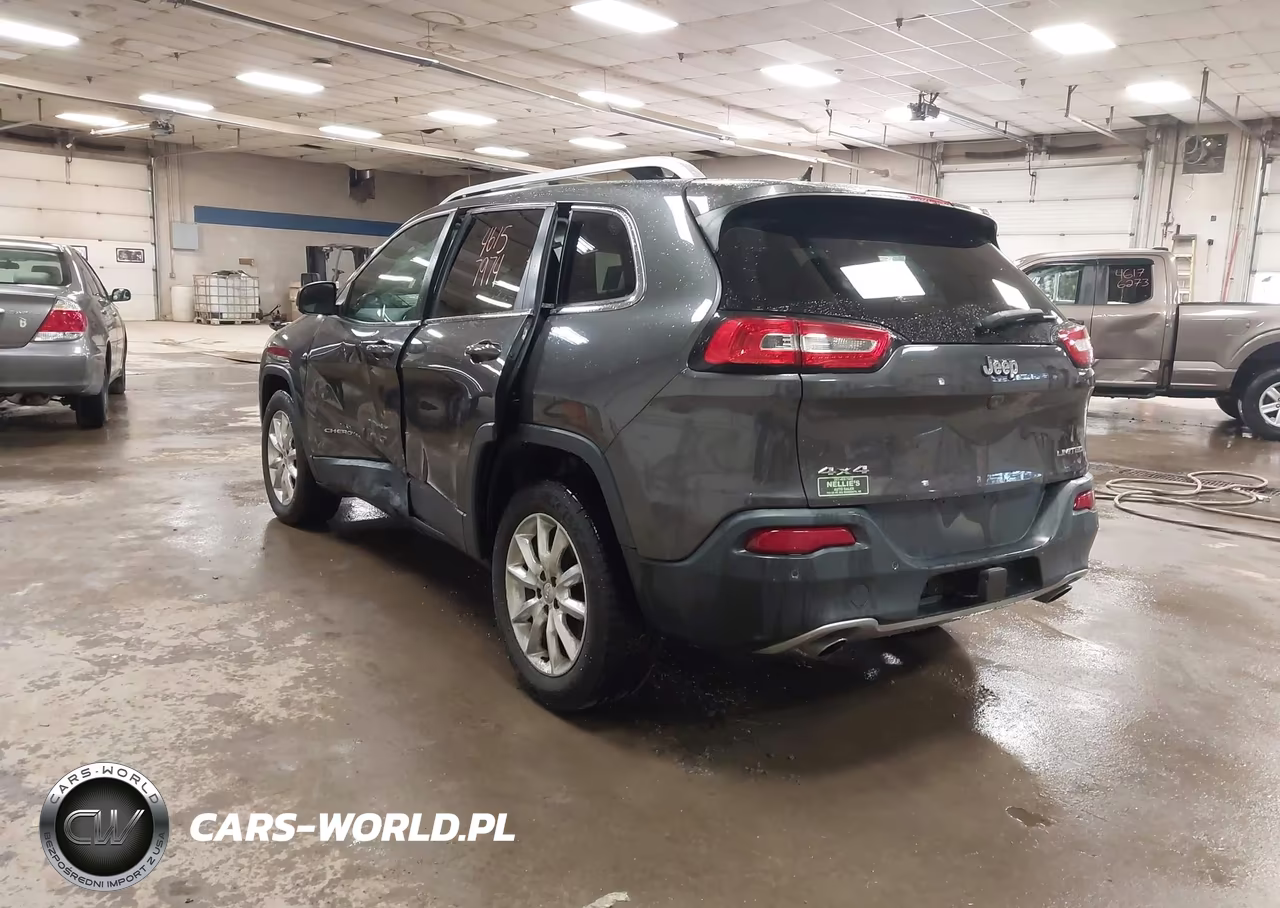 2014 Jeep Cherokee Limited VIN:1C4PJMDS0EW302312 - 3