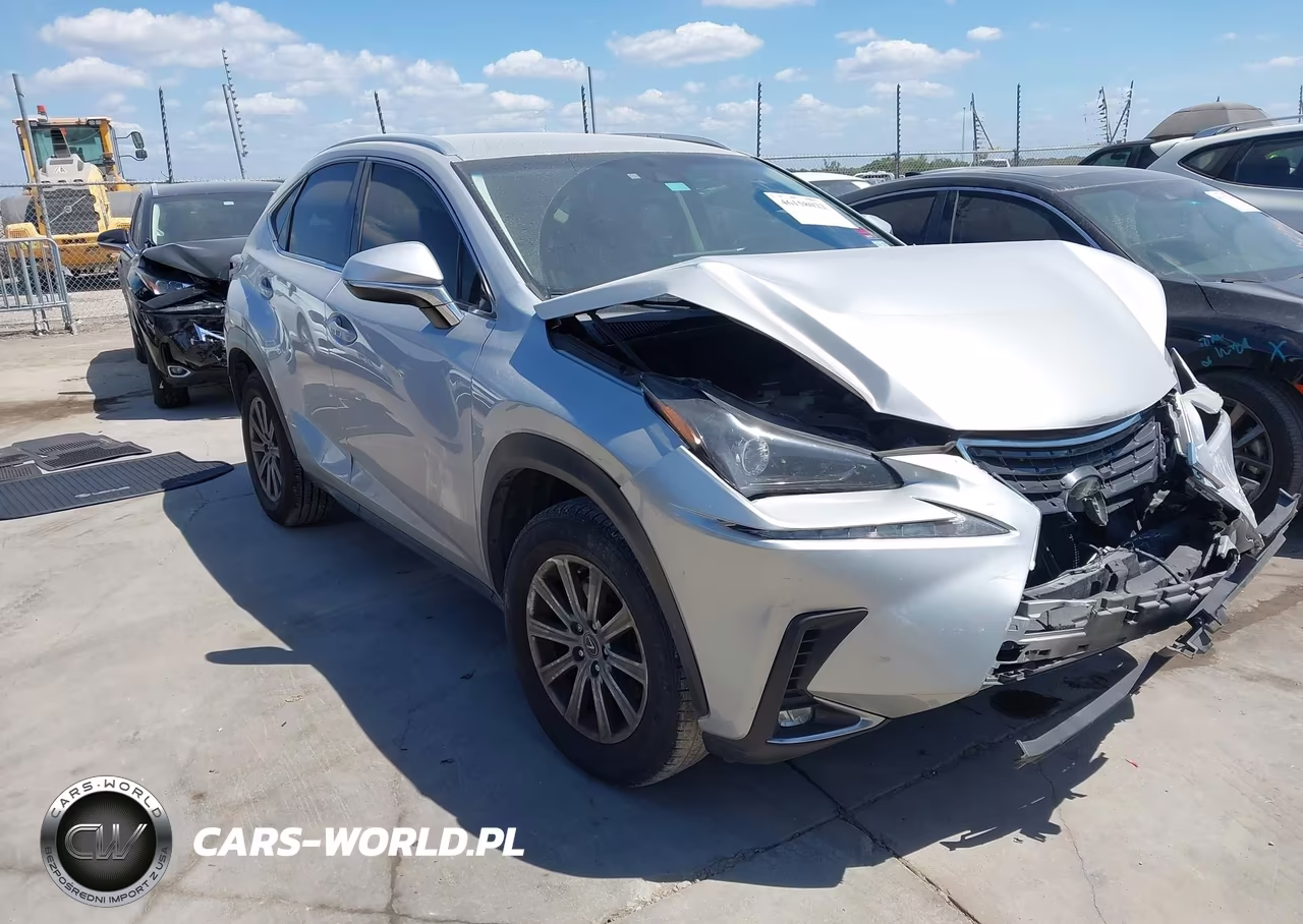 2018 Lexus Nx 300 VIN:JTJYARBZ6J2093528 - 1