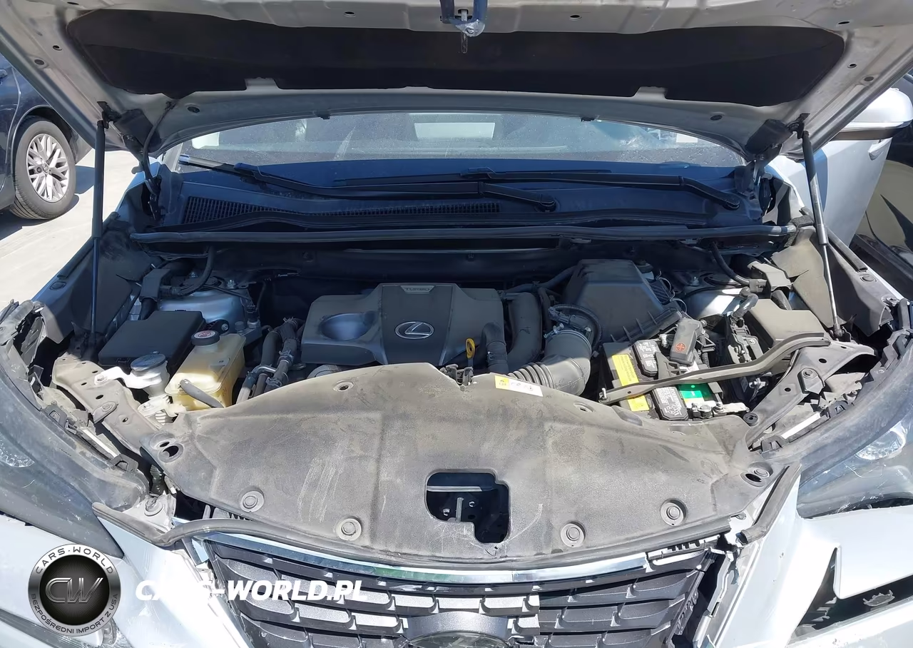 2018 Lexus Nx 300 VIN:JTJYARBZ6J2093528 - 10