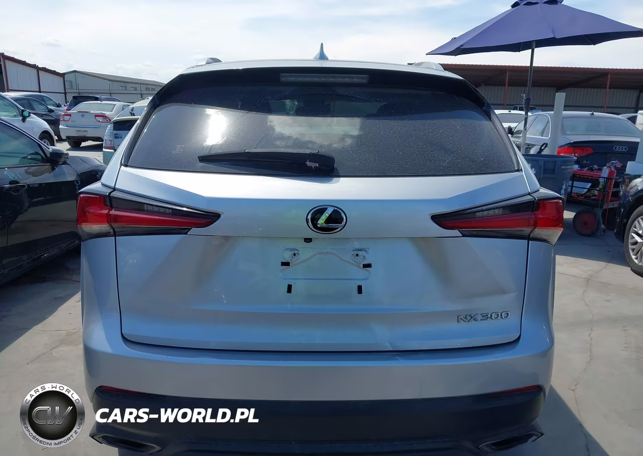 2018 Lexus Nx 300 VIN:JTJYARBZ6J2093528 - 16