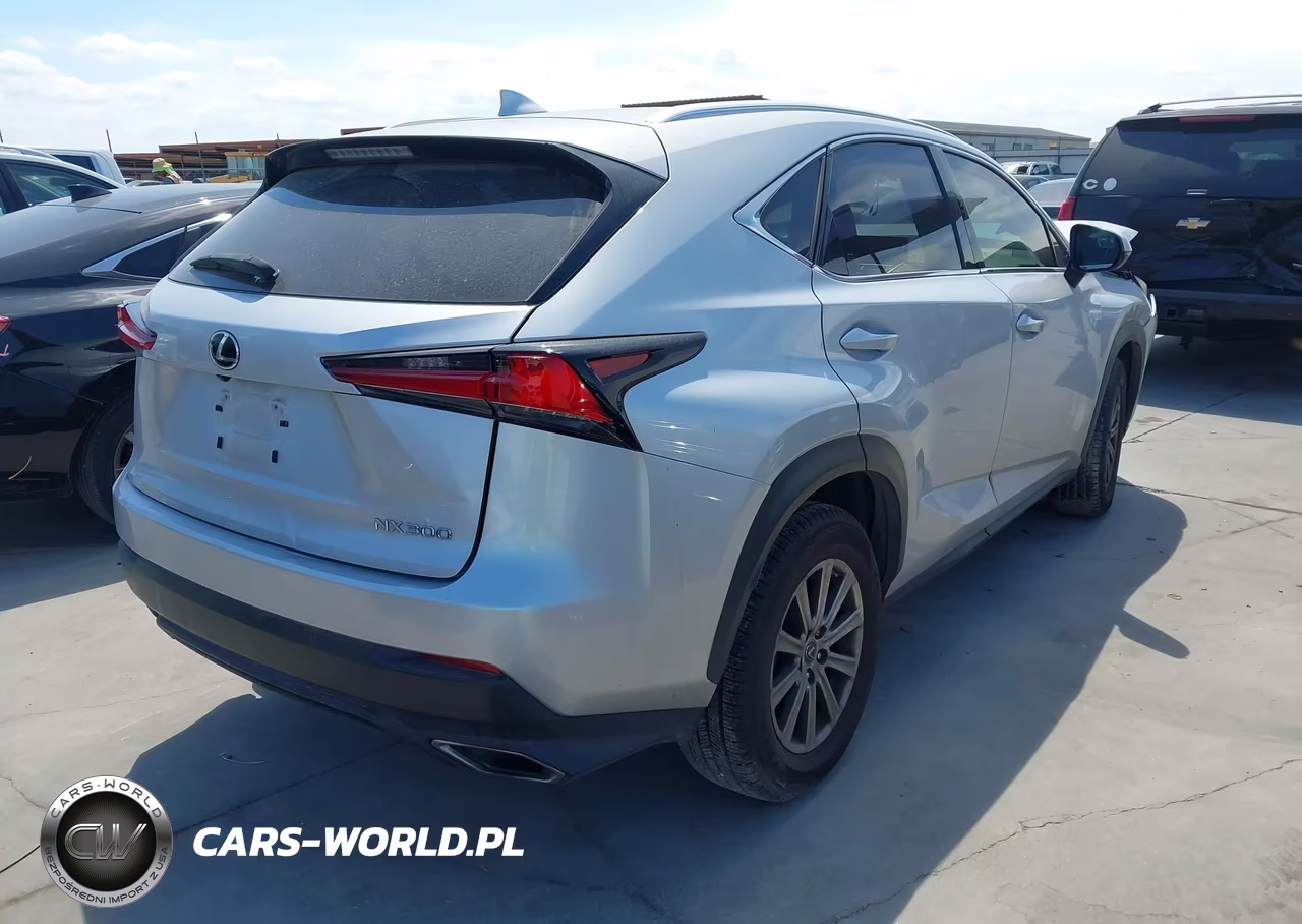 2018 Lexus Nx 300 VIN:JTJYARBZ6J2093528 - 4