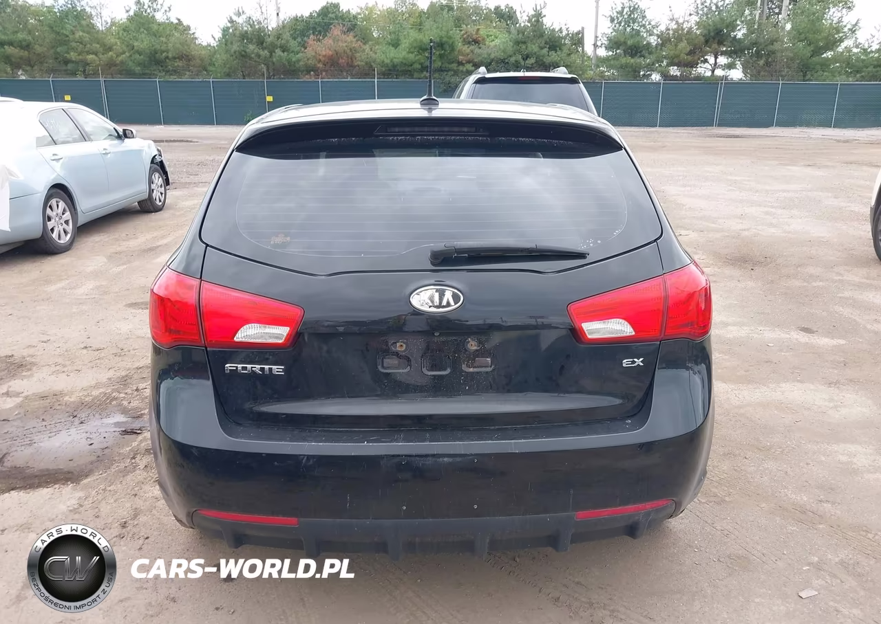 2012 Kia Forte Ex VIN:KNAFU5A22C5504341 - 17