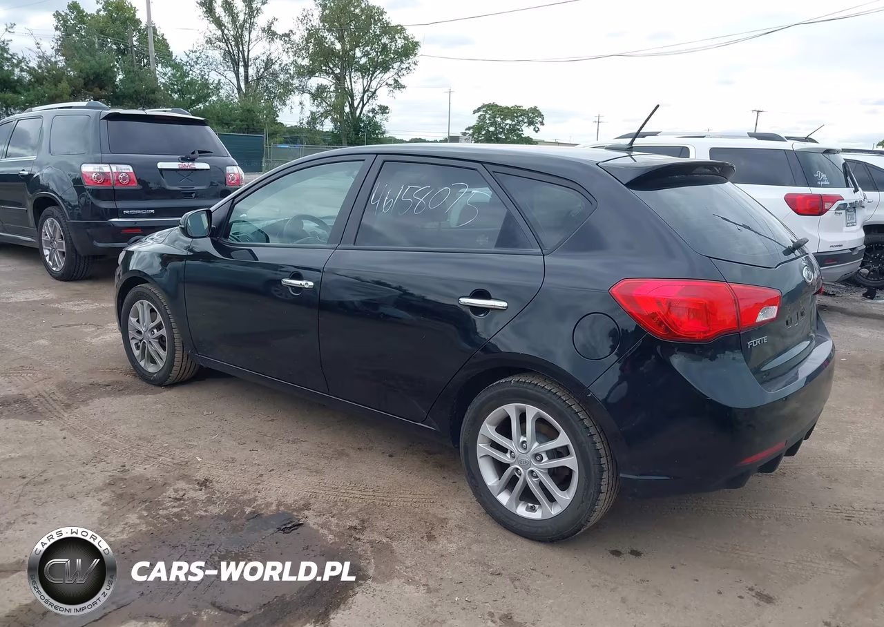 2012 Kia Forte Ex VIN:KNAFU5A22C5504341 - 3