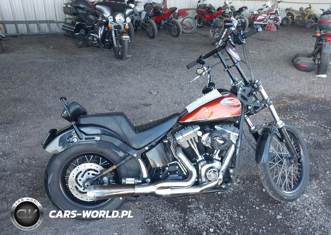 2011 Harley-Davidson Fxs VIN:1HD1JP527BB030283 - 11