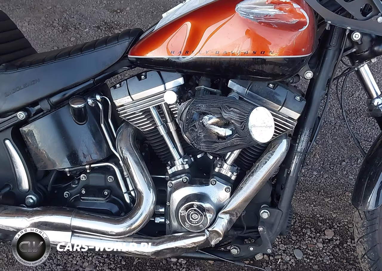 2011 Harley-Davidson Fxs VIN:1HD1JP527BB030283 - 8