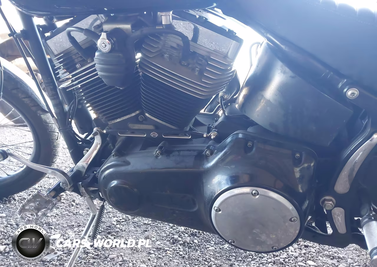 2011 Harley-Davidson Fxs VIN:1HD1JP527BB030283 - 9