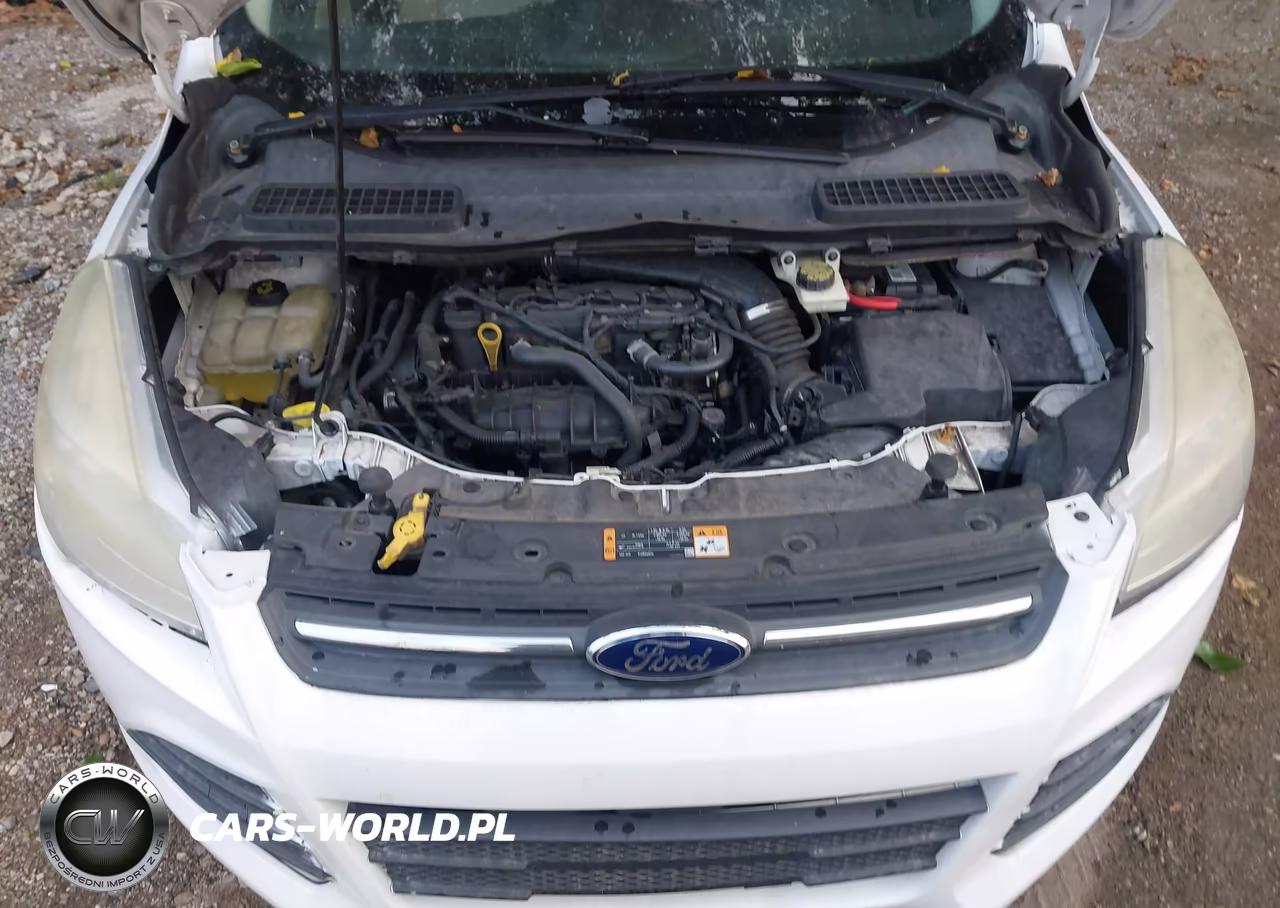 2014 Ford Escape Se VIN:1FMCU0GX9EUB09637 - 10