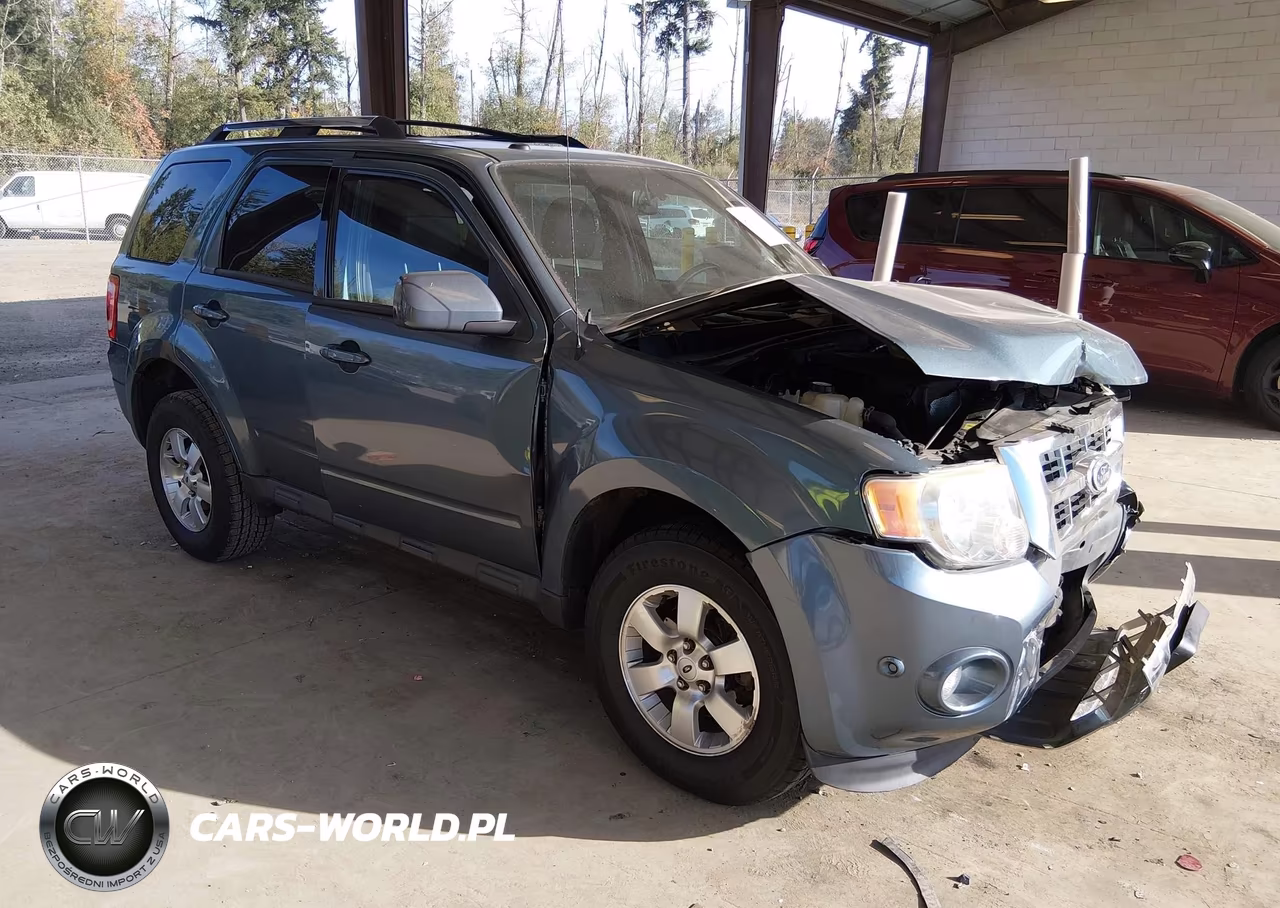 2010 Ford Escape Limited