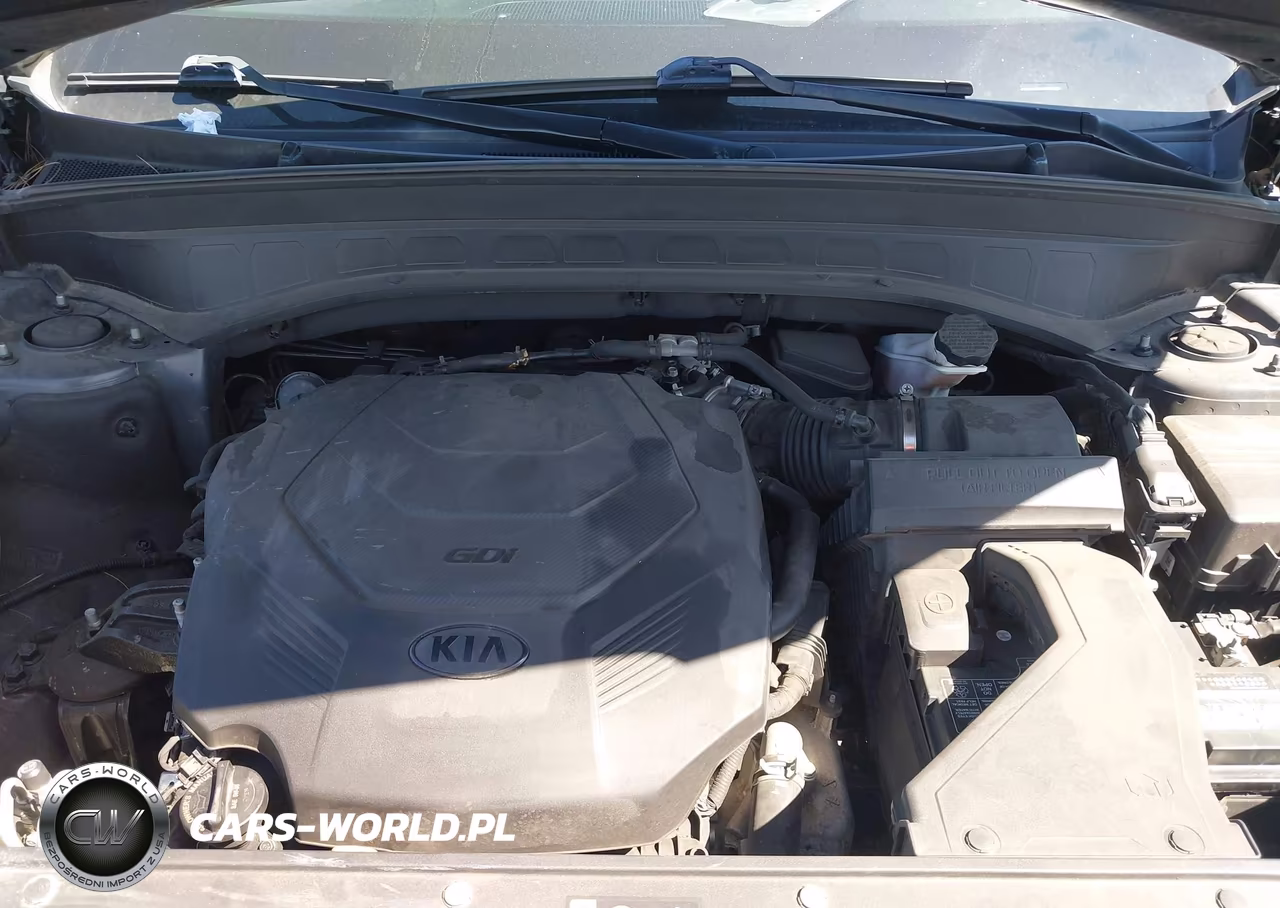 2020 Kia Telluride S VIN:5XYP64HC5LG015613 - 10