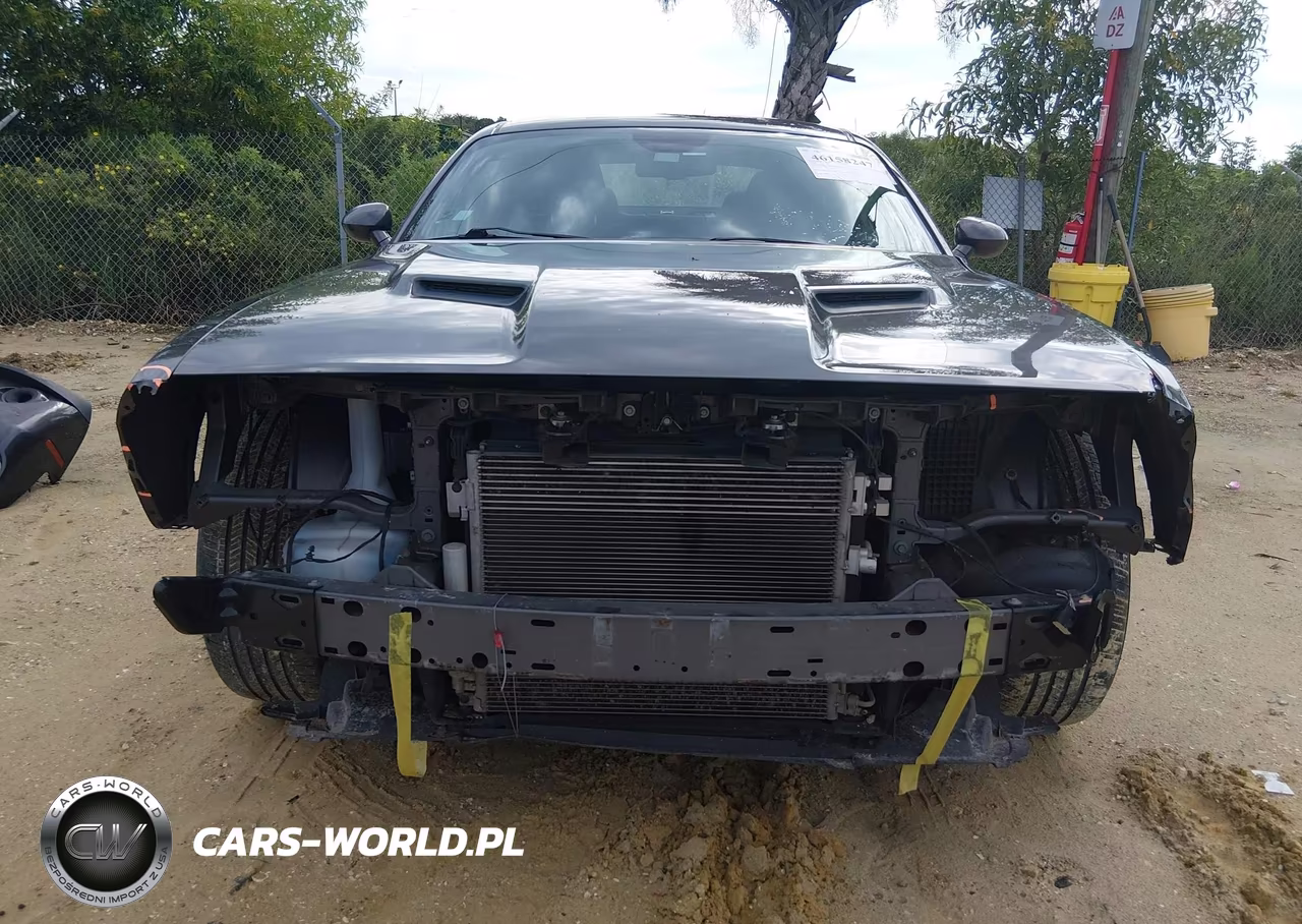 2018 Dodge Challenger Sxt VIN:2C3CDZAG6JH121960 - 13