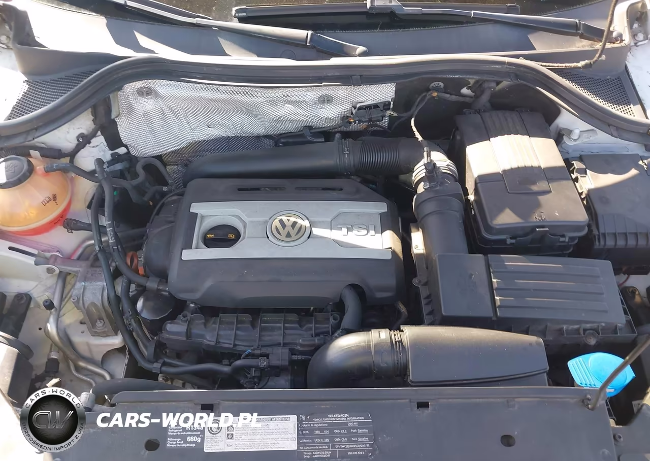 2010 Volkswagen Tiguan S VIN:WVGAV7AX4AW519458 - 10
