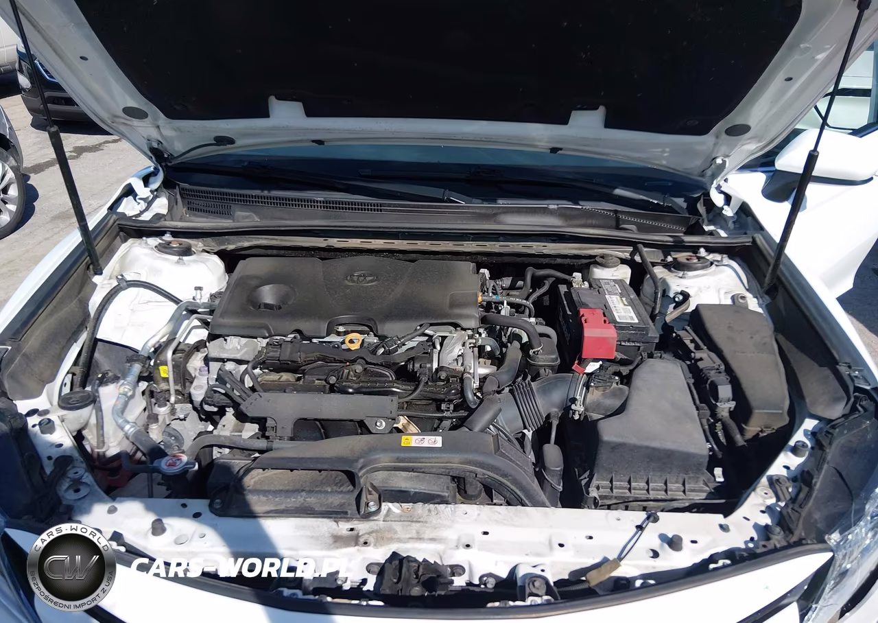 2020 Toyota Camry Le VIN:4T1C11AK7LU956665 - 10