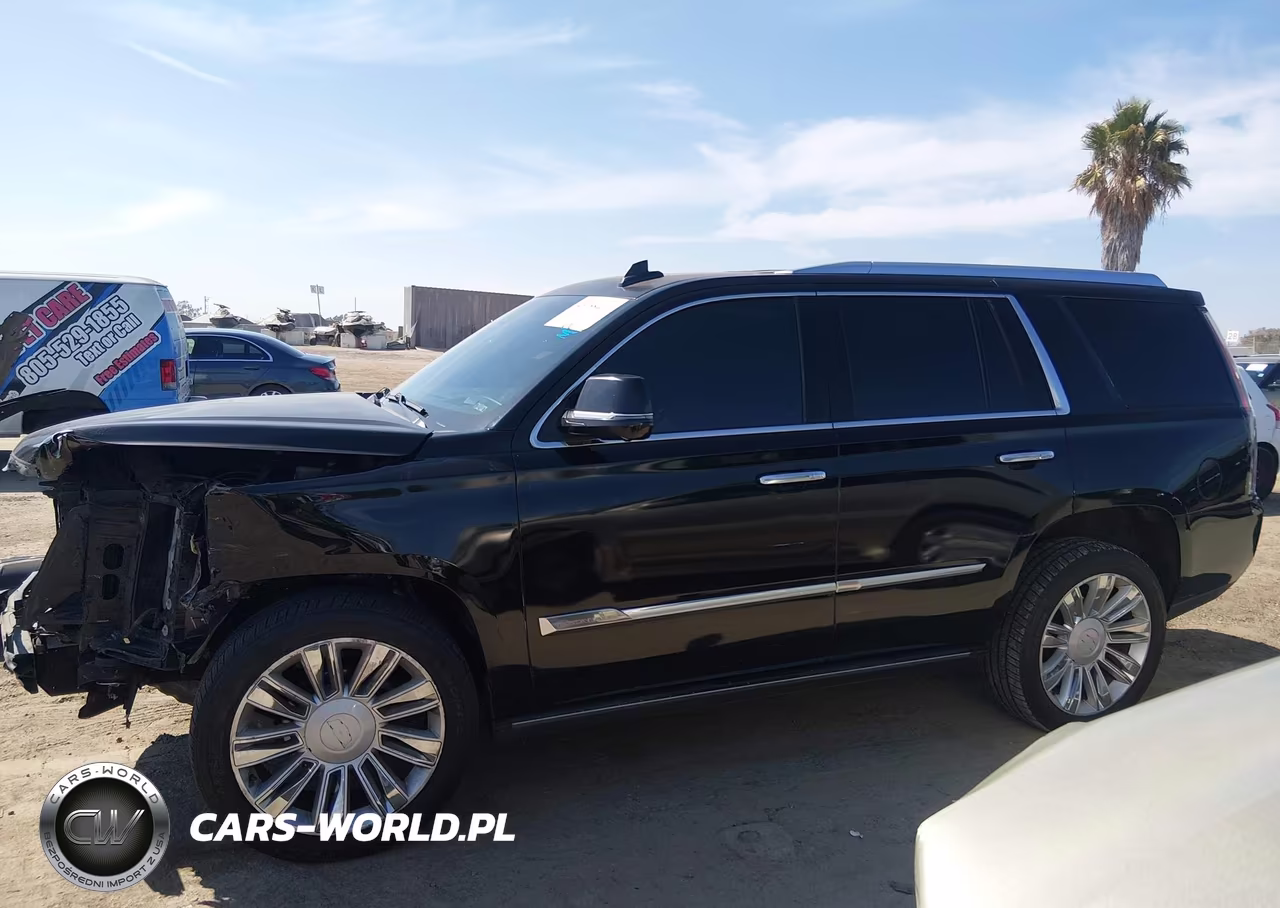 2015 Cadillac Escalade Platinum VIN:1GYS4PKJ5FR682447 - 15