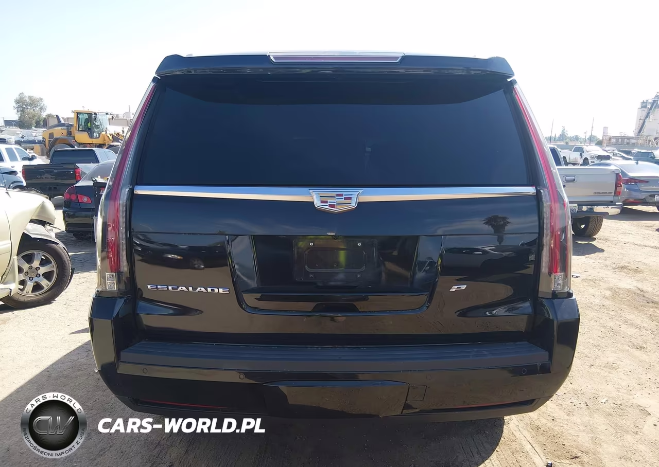 2015 Cadillac Escalade Platinum VIN:1GYS4PKJ5FR682447 - 17