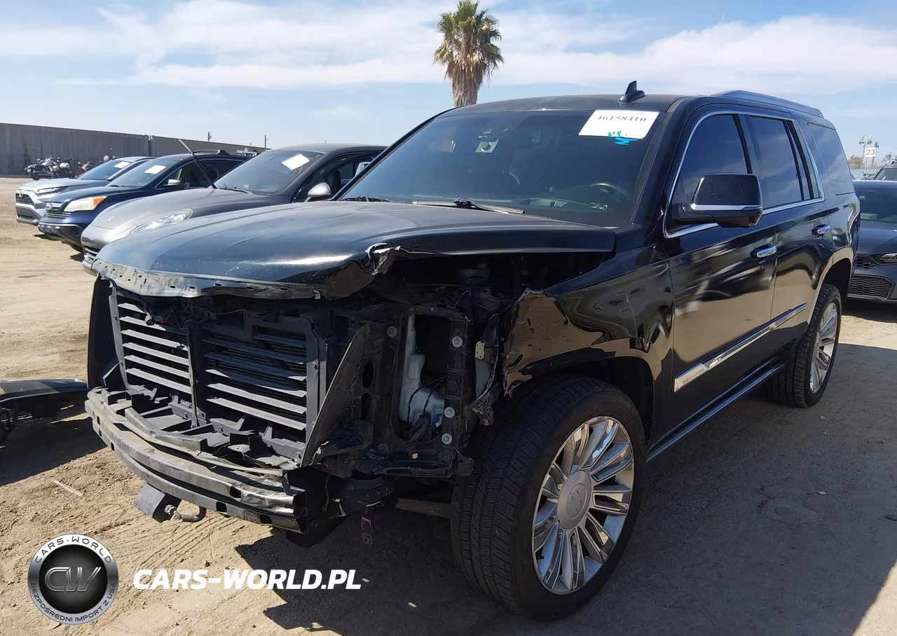 2015 Cadillac Escalade Platinum VIN:1GYS4PKJ5FR682447 - 2