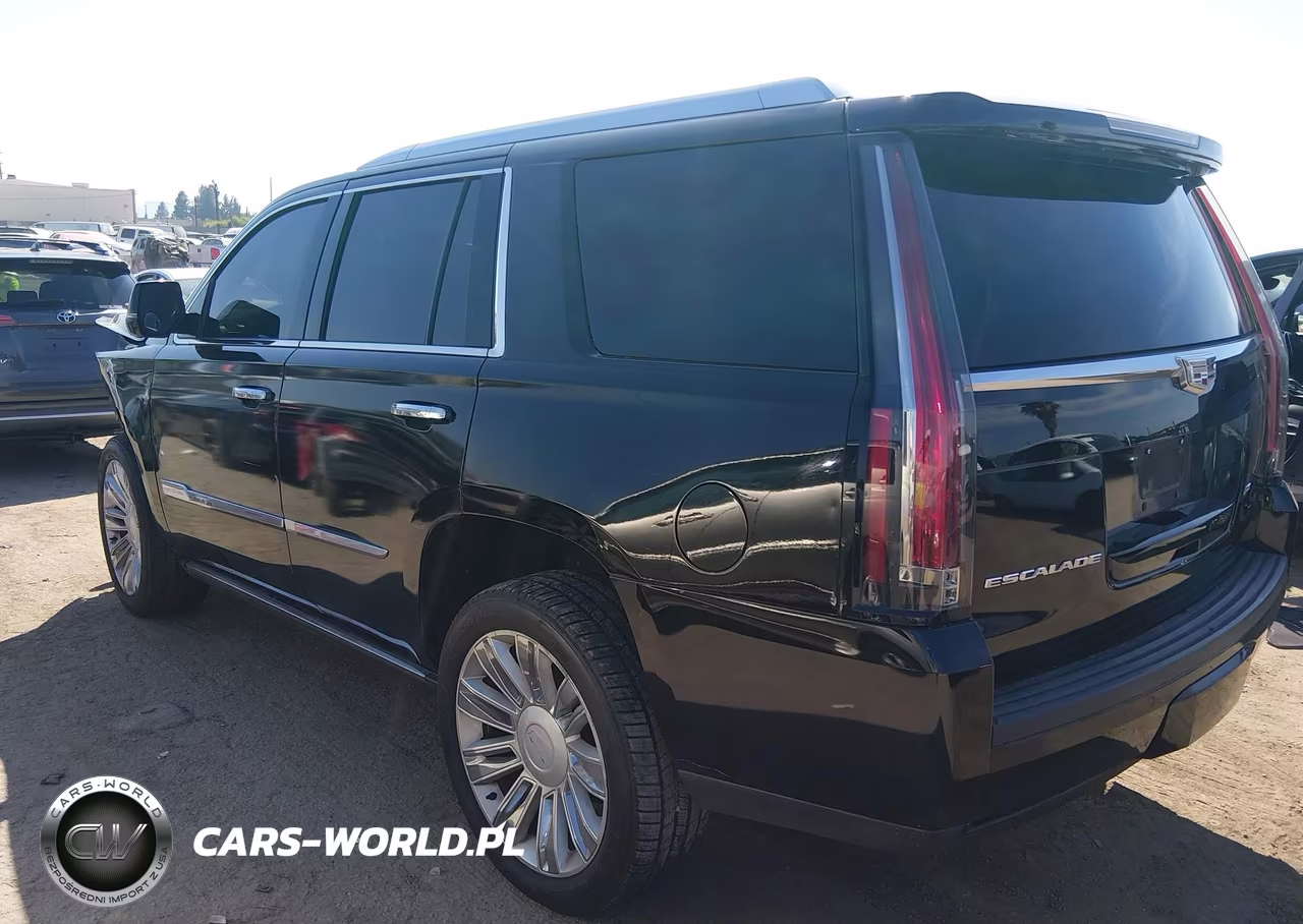 2015 Cadillac Escalade Platinum VIN:1GYS4PKJ5FR682447 - 3