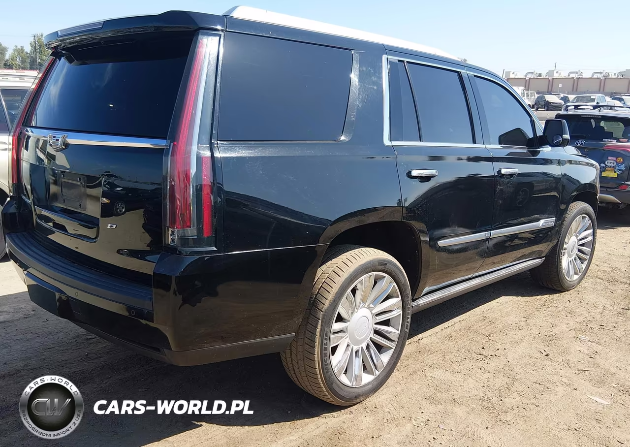 2015 Cadillac Escalade Platinum VIN:1GYS4PKJ5FR682447 - 4