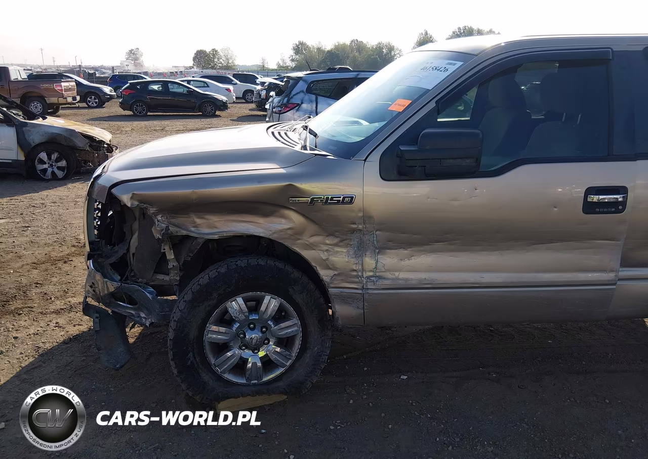 2011 Ford F-150 Xlt VIN:1FTFX1EF4BFB56471 - 19