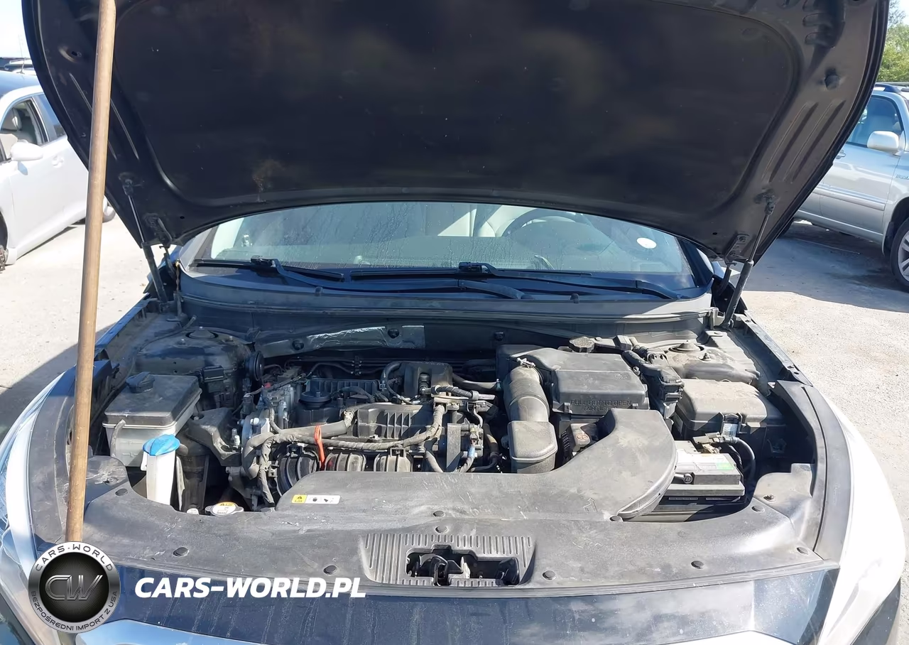 2017 Hyundai Sonata Se VIN:5NPE24AF9HH547146 - 10