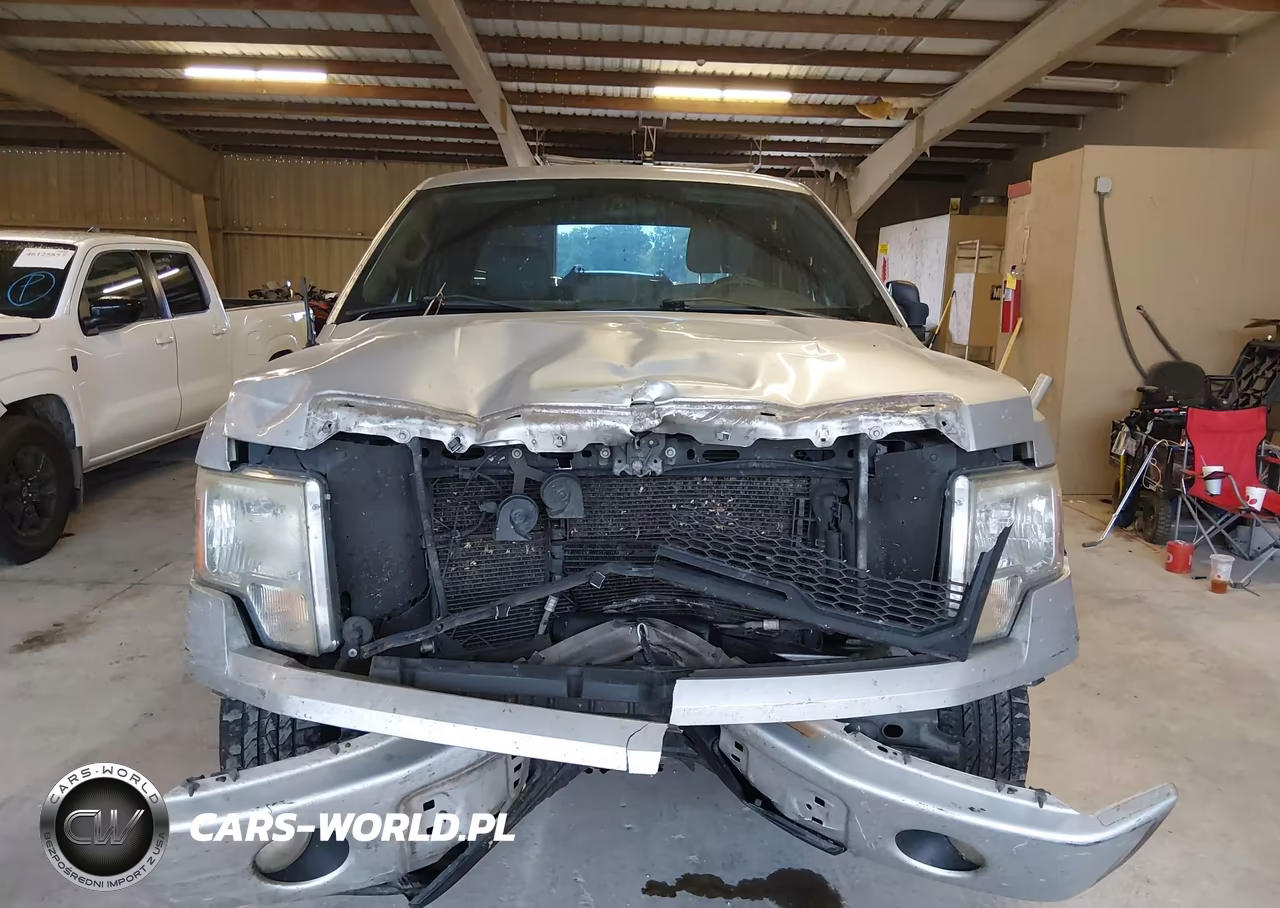 2012 Ford F-150 Stx VIN:1FTFX1CF8CFA35494 - 13