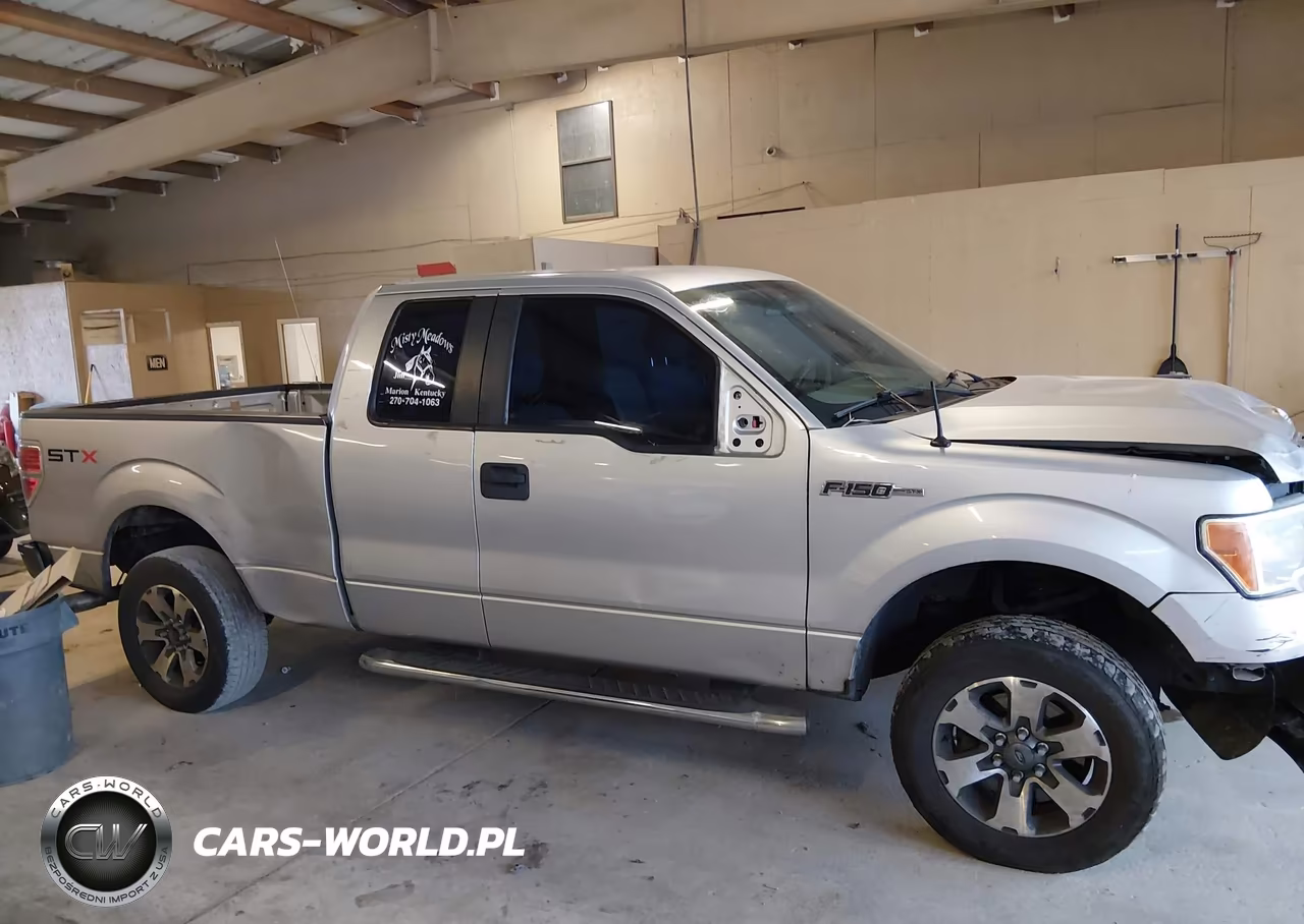 2012 Ford F-150 Stx VIN:1FTFX1CF8CFA35494 - 14