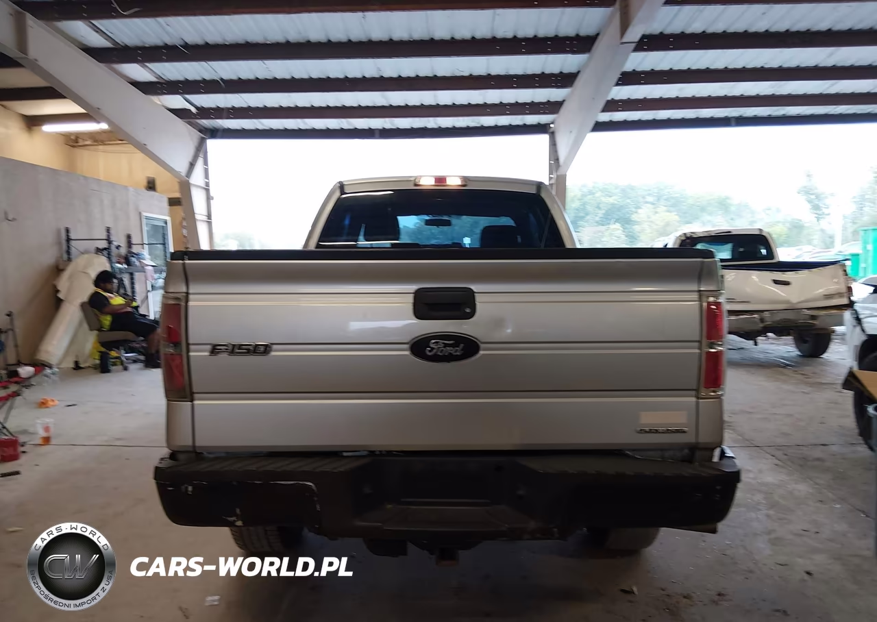 2012 Ford F-150 Stx VIN:1FTFX1CF8CFA35494 - 17