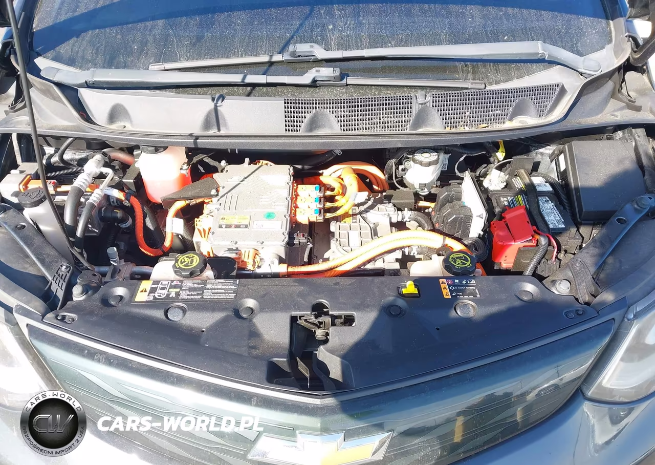 2017 Chevrolet Bolt Ev Lt VIN:1G1FW6S09H4160318 - 10
