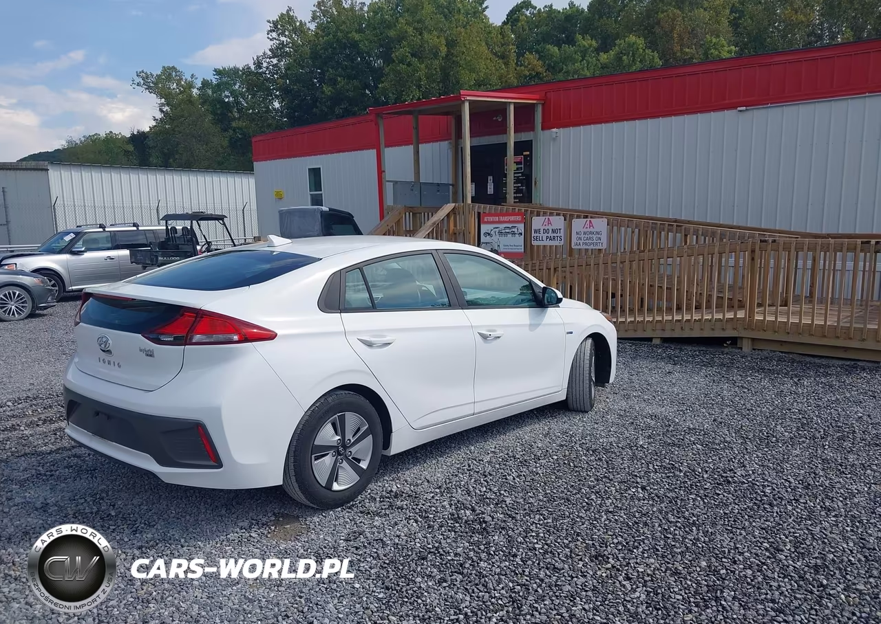 2020 Hyundai Ioniq Hybrid Blue VIN:KMHC65LC9LU220082 - 4