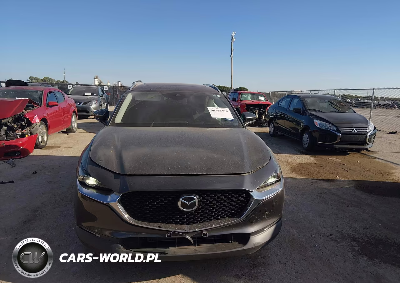 2021 Mazda Cx-30 Premium VIN:3MVDMBDL0MM249745 - 11